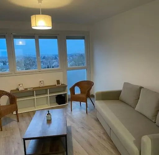 Appartement A Orleans Paisible
