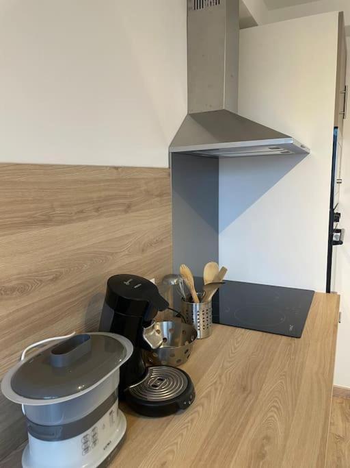 A Paisible Apartment Orleans